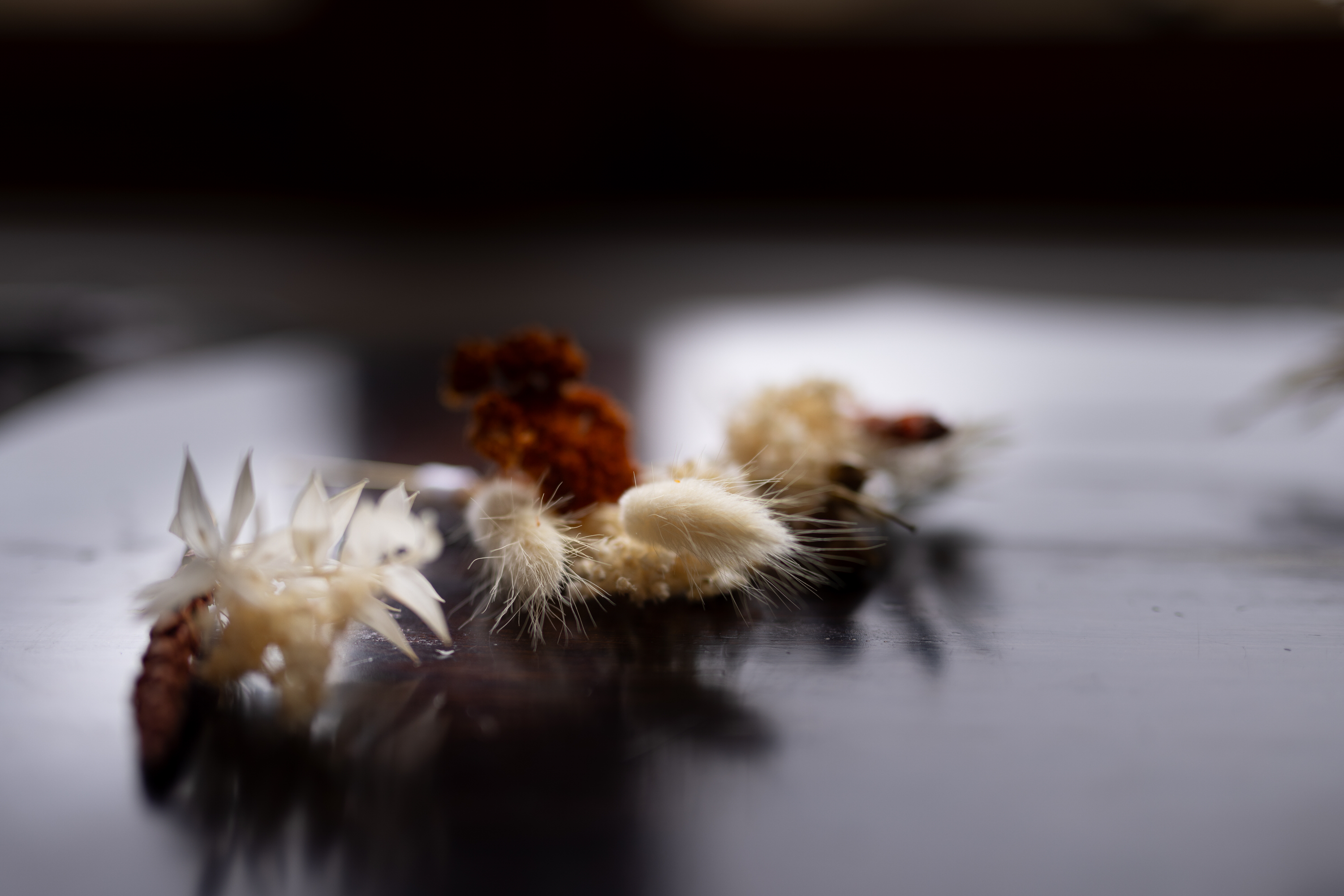 The men's flowers laying on the table in the window light 