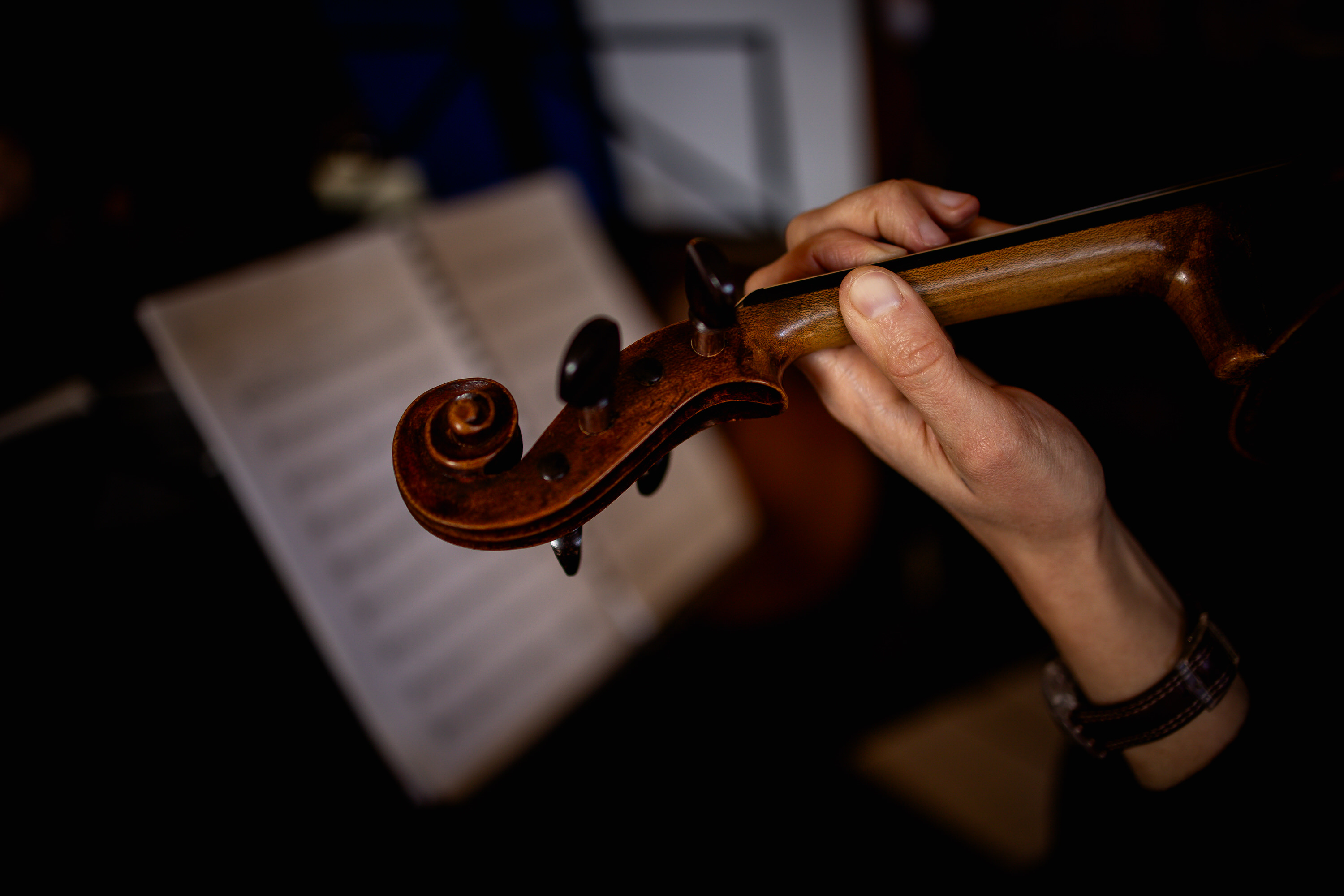 The violin handle 